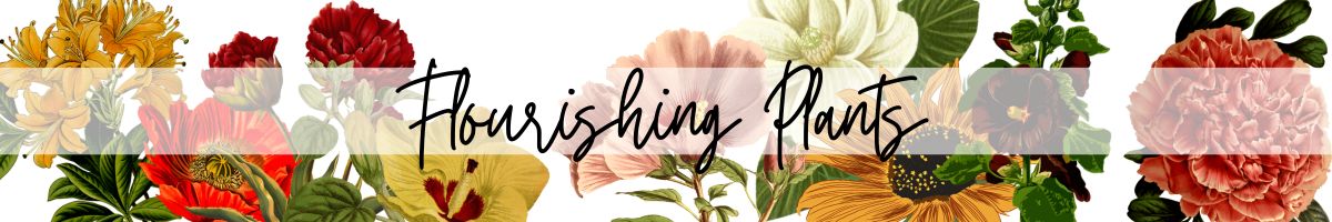 plants banner